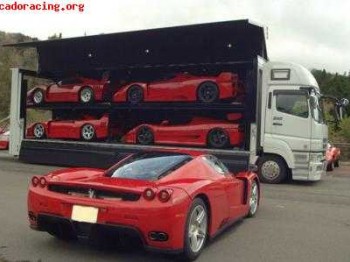 Se ofrece conductor camion rigido o trailers.