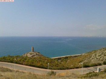 Se ofrece camionero mecanico