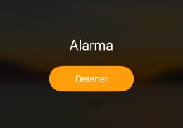 Se busca copiloto/a campeonato gallego 
