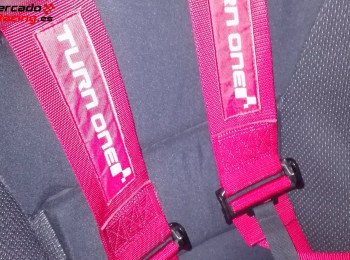 Arneses turn one de 6 puntos