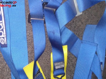 Arneses 4 puntos sparco