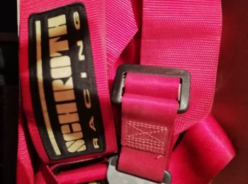 Arnéses srotch 6 puntos