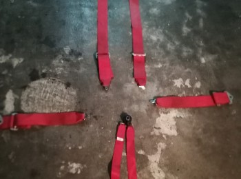 Arnéses turn one 6 puntos