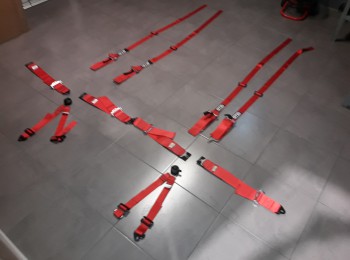 Arnés gt2i race 6 puntos,