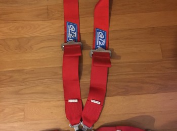 Arnes caducado 4 puntos