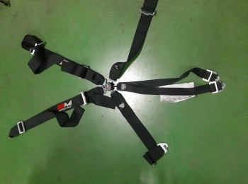 Arnes de 6 puntos motamec