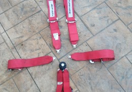 Arnes turn one caducado