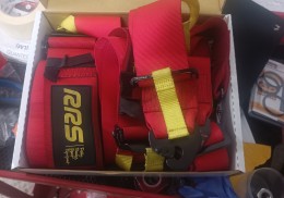 Pareja de arneses 6 puntos rrs