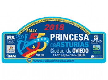 Copiloto para rallyes