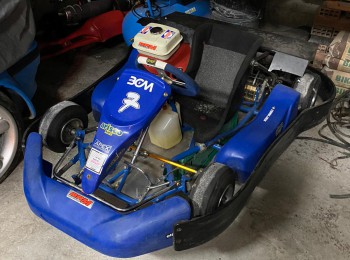 Se vende kart