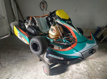 Kart rotax máx dd2 fk