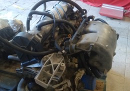 Motor 205 gti