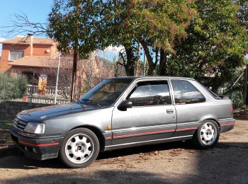 Se vende peugeot 309 gti 16v homologado de rallyes