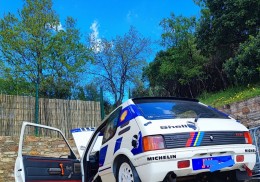 A vendre  peugeot 205 gti 1600