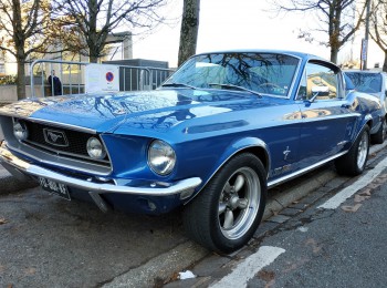 Busco ford mustang