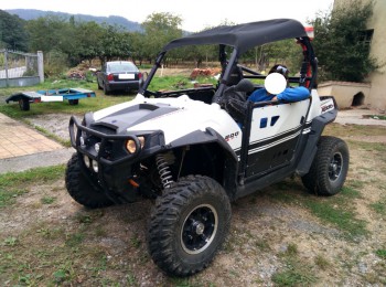 Polaris rzr 800s