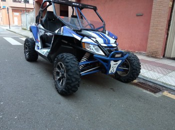 Arctic cat wildcat 1000 x 