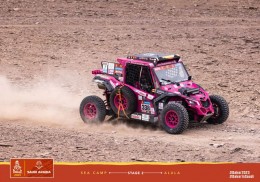 Vendo side by side can am dakar 
