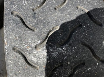 Ruedas hankook en 15”