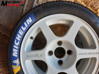 Michelin de agua extrema