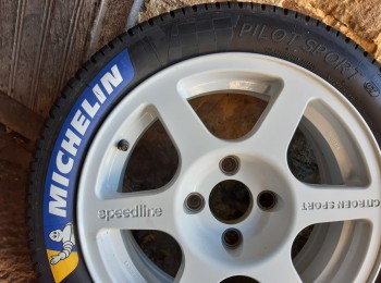  ruedas michelin  agua extrema p2h