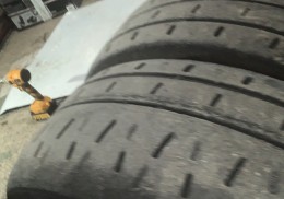 Se venden 4 pireli de seco 