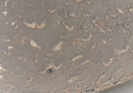 Juego de neumáticos michelin n3