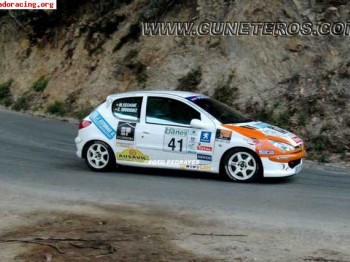 Se vende 206 desafio nacional