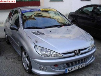 206 con carroceria matter