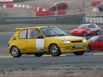 205 gti grupo a homologado