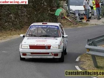 Vendo 205 rallye, campeón de madrid de montaña.