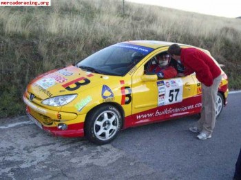 Vendo 206 xs desafio