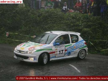 Peugeot 206 rc grupo n
