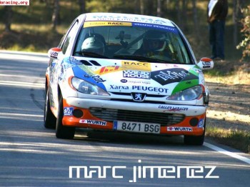  peugeot 206xs grupo.a volant racc desafio peugeot catalunya
