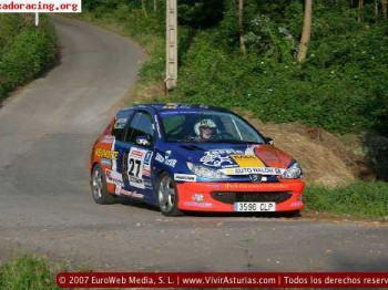 206 volant racc-auto nalon 11.000e