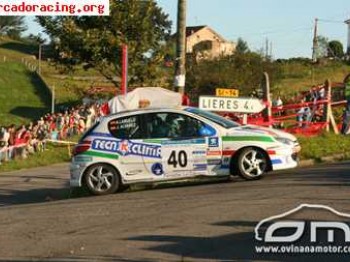 206 vencedor del volant racc asturias 