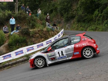 Peugeot 206 s1600 ex-peugeot portugal