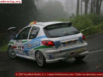 Se vende 206 rc grupo n