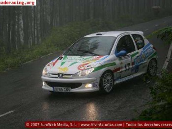 Se vende 206 rc grupo n