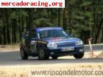 Peugeot 205 gti max gr a año 93