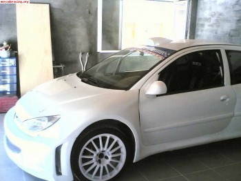 Peugeot 206 gti f2000. 12000 €!!!!!!!!!!!!