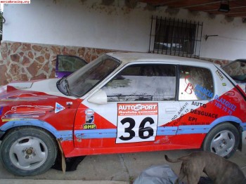 205 gti de autocross