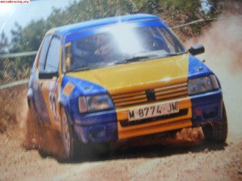 205 rallye ahora 3000