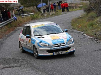 Peugeot 206 xs volante racc 