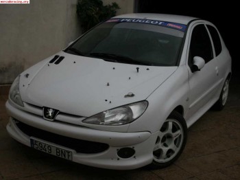 Peugeot 206 nacional