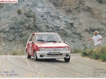 Peugeot 205 rally grupo n