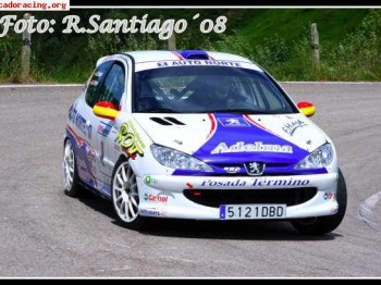 Peugeot 206 rc gra ex oficial peugeot sport francia