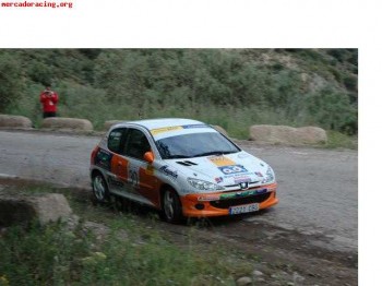 Se vende 206 xs campeón volante racc andalucia 2008