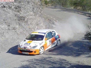 Se vende 206 xs campeón volante racc andalucia 2008
