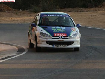 206 desafio nacional con carroceria matter